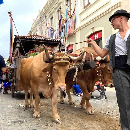 Romantisches Haus In Der Historischen Altstadt Von Orotava ラ・オロタバ エクステリア 写真
